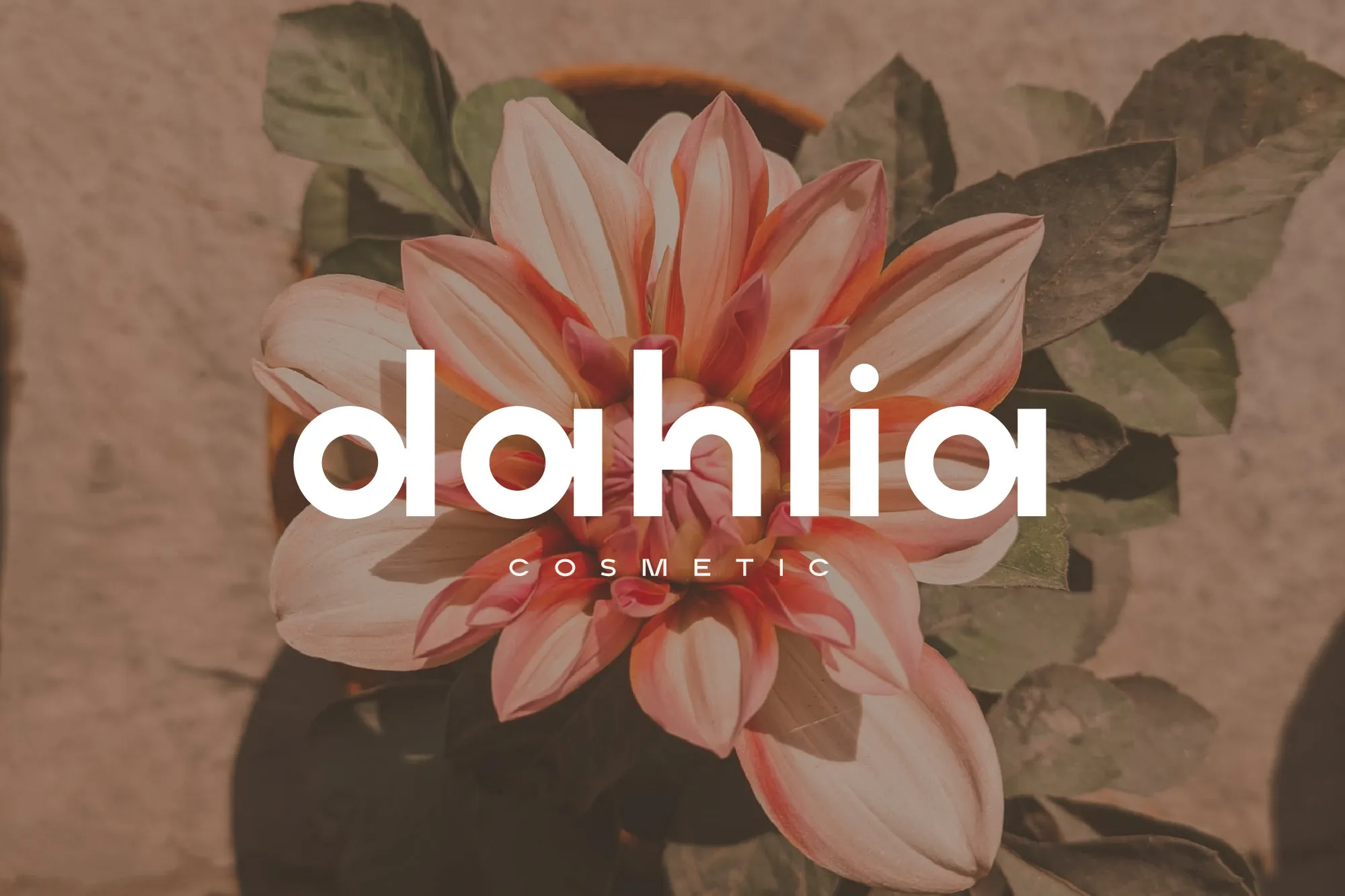 Middle Name - Minimal Classic Font